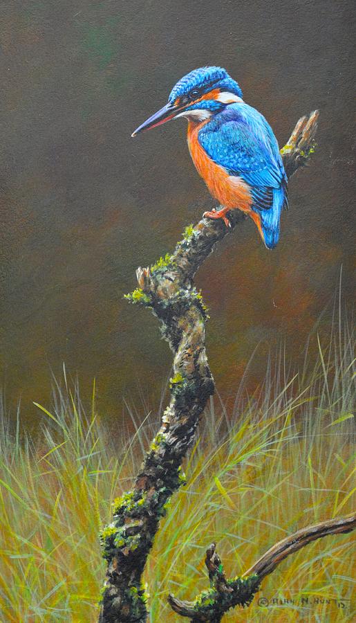 Kingfisher on Branch Painting by Alan M Hunt