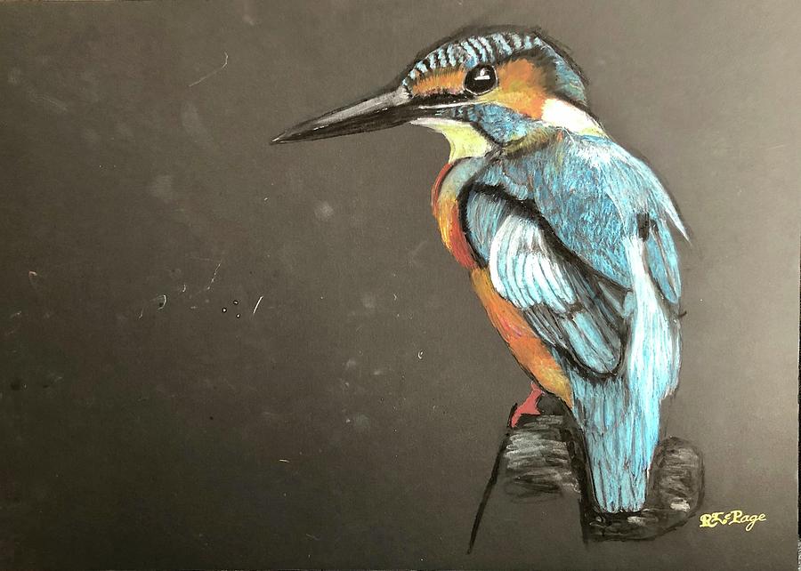 Kingfisher Pastel by Richard Le Page