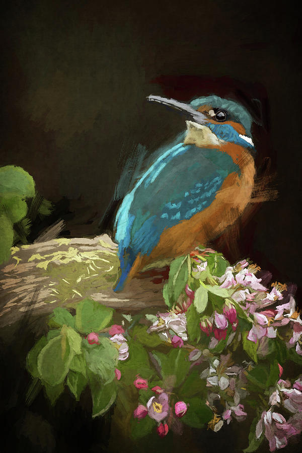 Nature Digital Art - Kingfisher by Roberta Murray