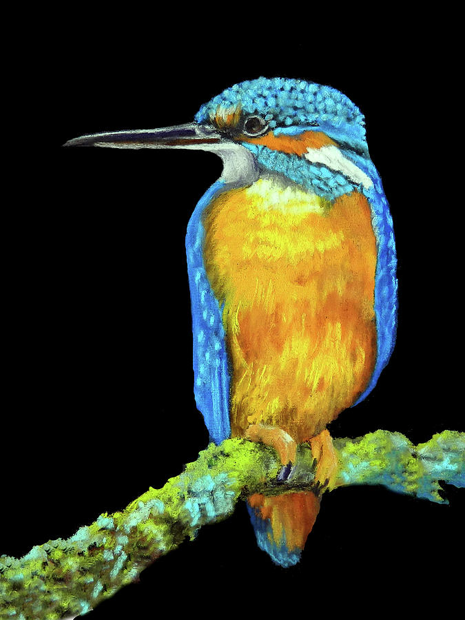 Kingfisher Pastel by Theresa Bohn - Fine Art America