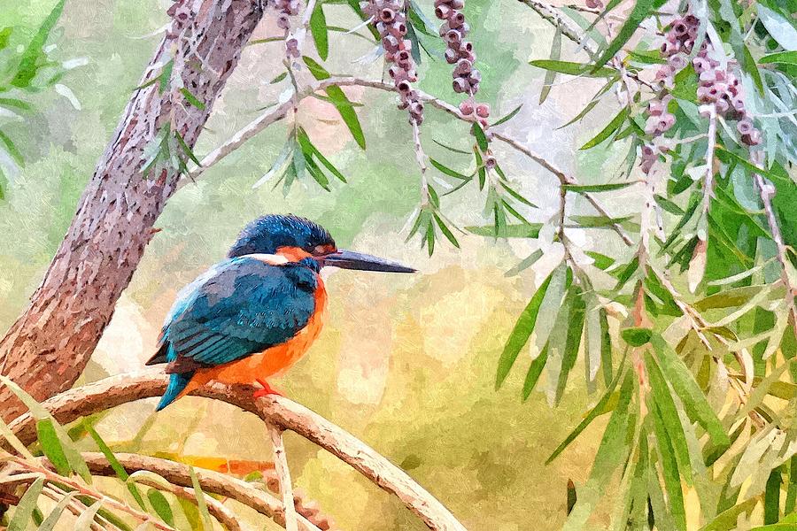 Kingfisher Mixed Media - Kingfisher Watercolor by Julie Grace