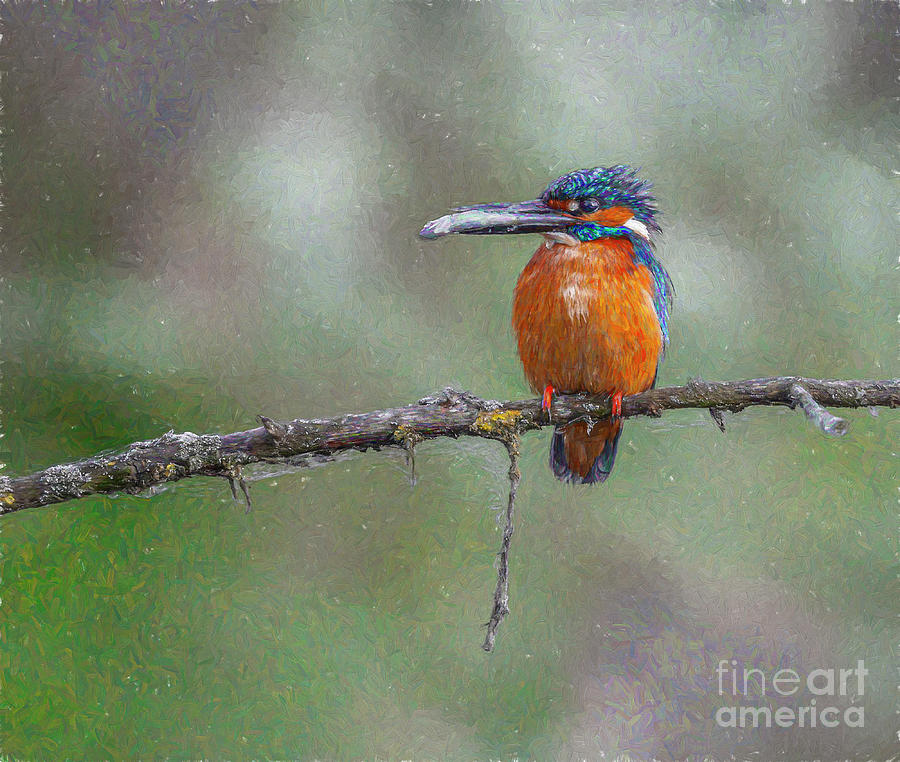 Kingfisher with fish Digital Art by Liz Leyden