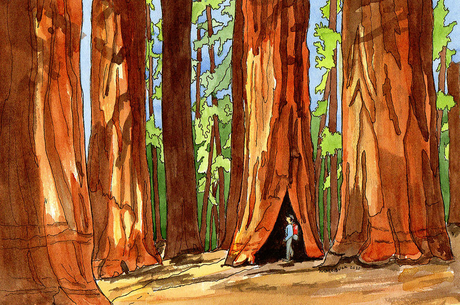Kings Canyon National Park Giant Sequoia Mixed Media