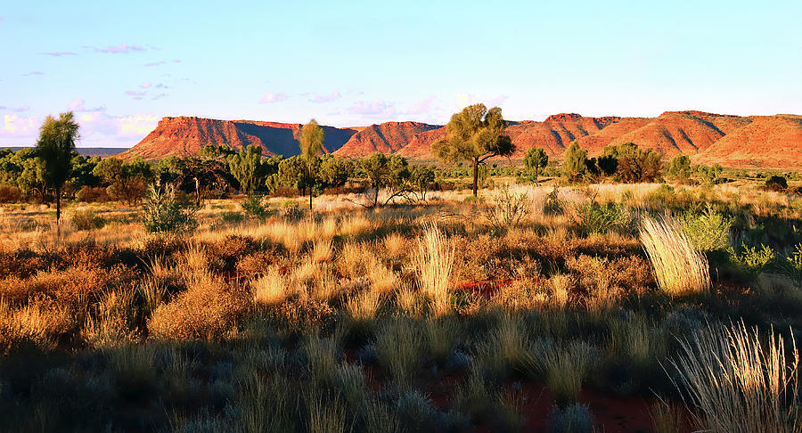Kings Canyon - Northern Territory, Australia Photograph by Lexa Harpell