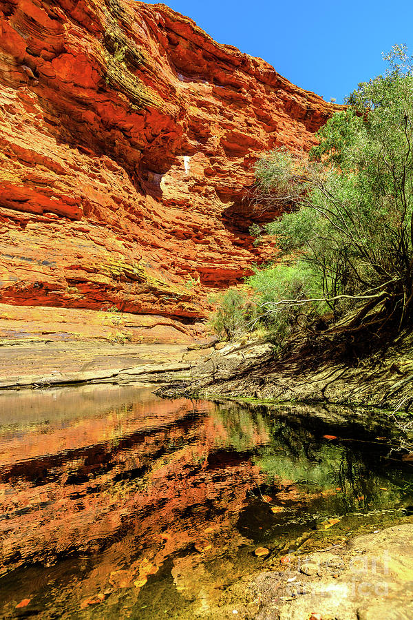 Kings Canyon waterhole Australia Photograph by Benny Marty