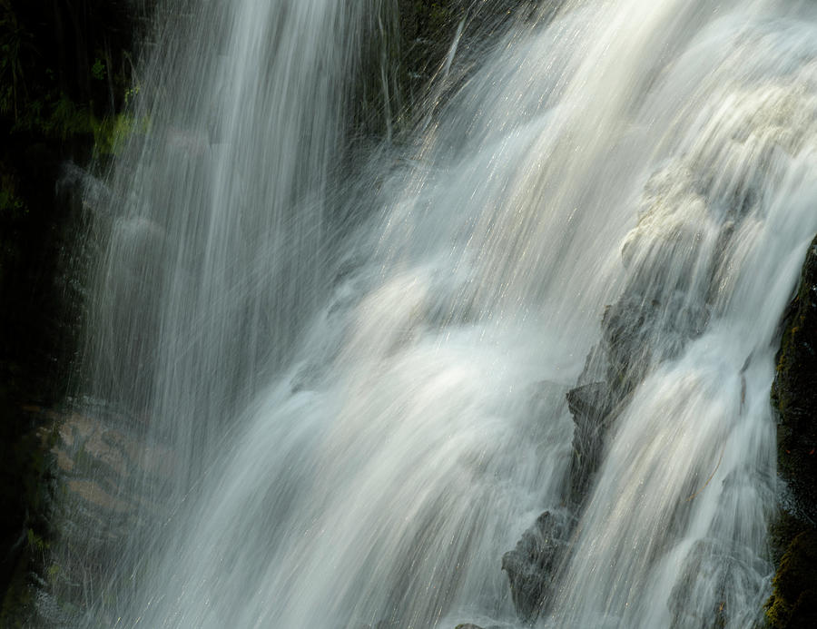 Kings Creek Falls Photograph by Jon Exley