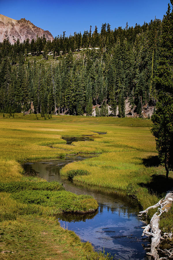 Creek Photograph - Kings Creek Meadow by John Heywood Creek Photograph - Kings Creek Meadow by John Heywood