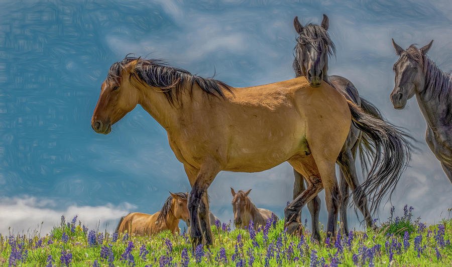 Kings of the Mountain, Painterly Photograph by Marcy Wielfaert