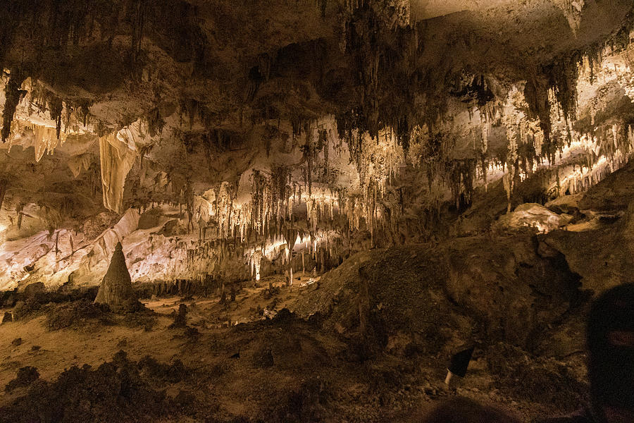 Kings Palace Papose Room., Carlsbad Caverns Photograph by Dan Hartford ...