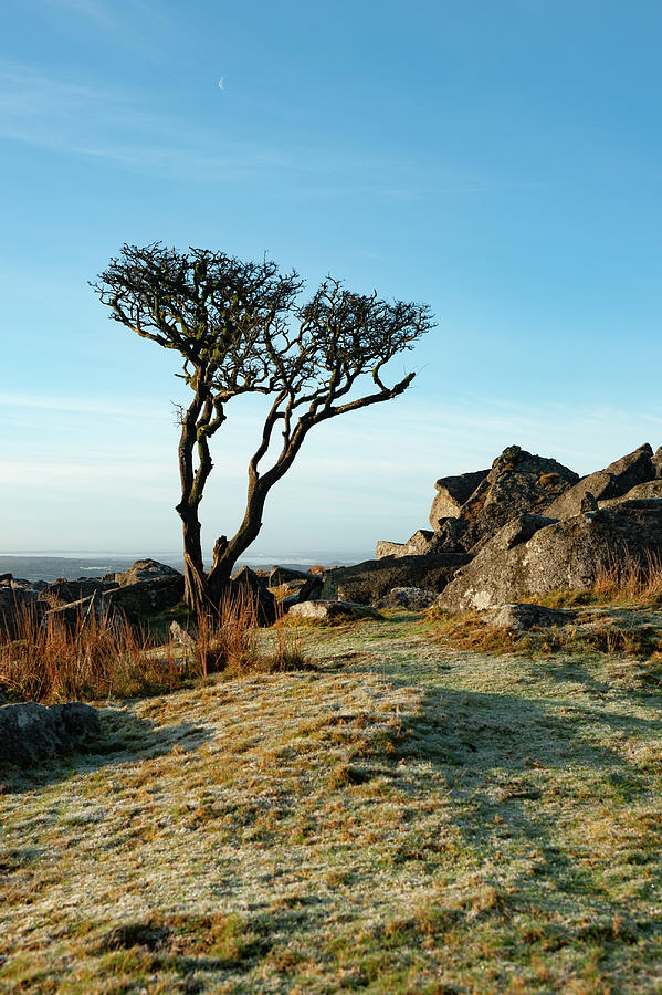 Kings Tor Dartmoor iv Photograph by Helen Jackson