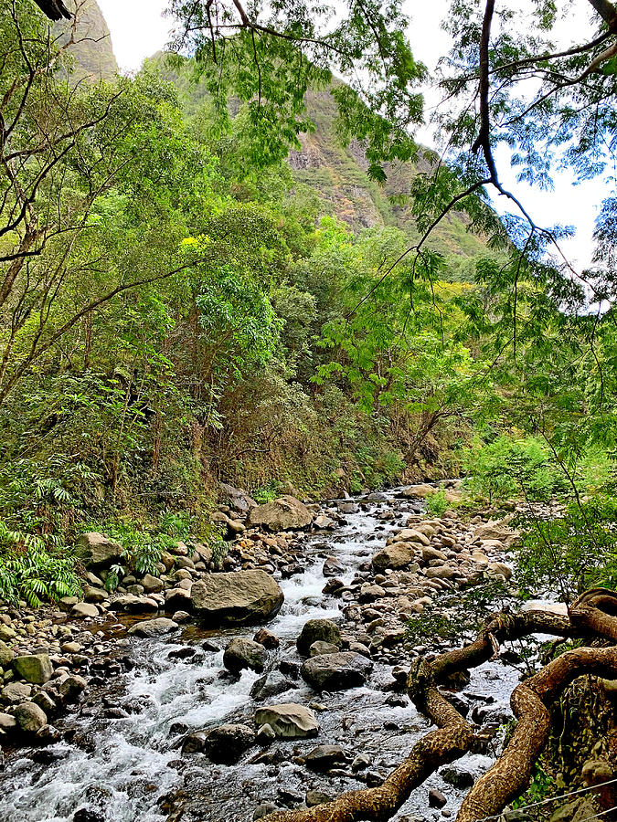 Kinihapai Stream Photograph