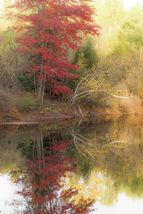 Kinkade Autumn Photograph By Shared Perspectives Photography Fine Art   Kinkade Autumn Shared Perspectives Photography 