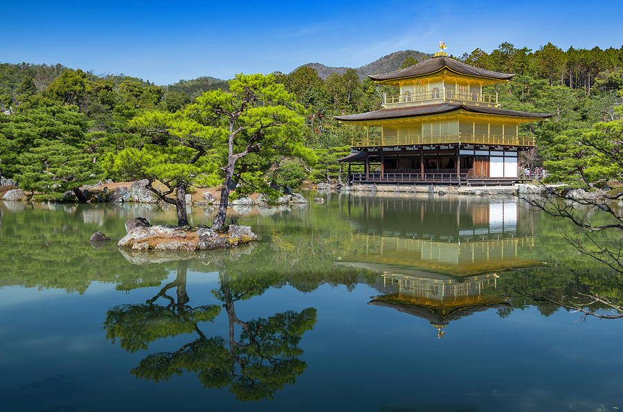 Kinkaku-ji Photograph by David L Moore