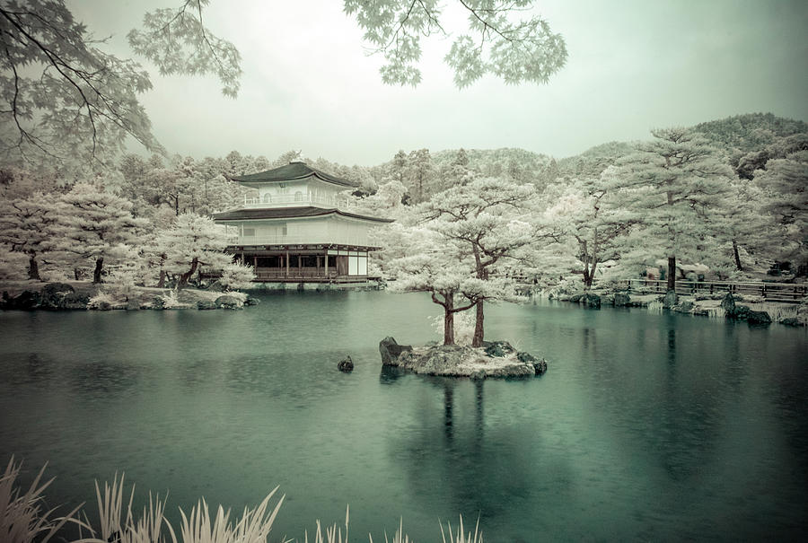 Kinkaku-ji, Temple of the Golden Pavilion, Kyoto, Jap Photograph by Eugene Nikiforov