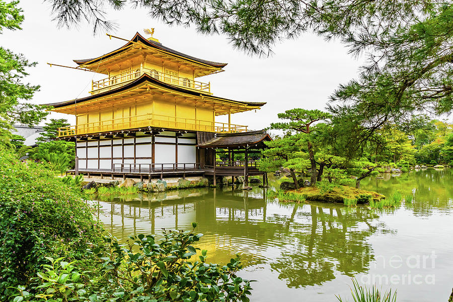 Kinkaku-ji, the golden pavilion, Kyoto Photograph by Lyl Dil Creations