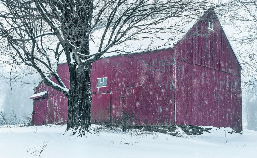 The Kinney Barn - Winter in New England Rural Landscape Photograph by Photos by Thom