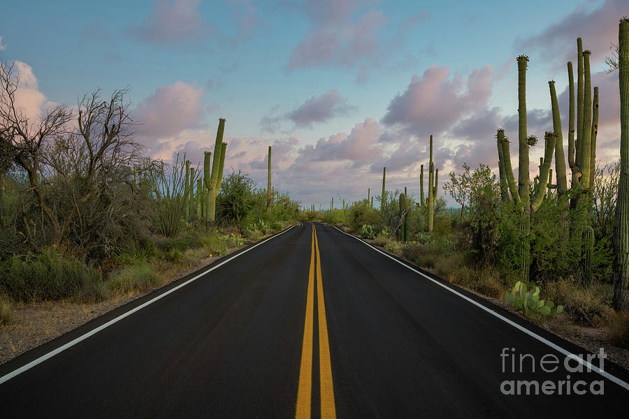 kinney road tucson