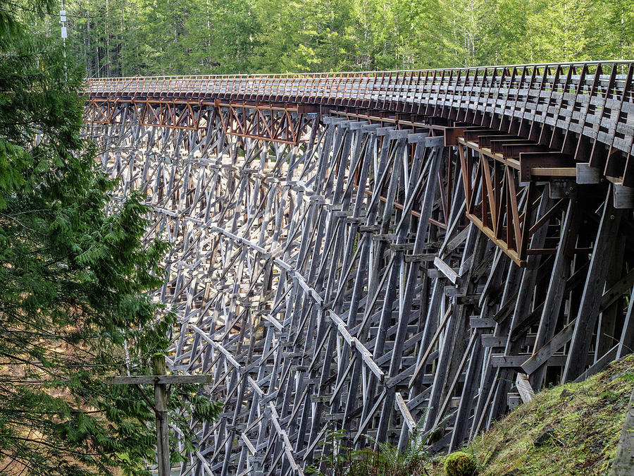 Kinsol Trestle Bridge near Victoria, British Columbia. Photograph by Rob Huntley