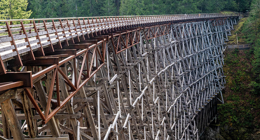 Kinsol Trestle Bridge Photograph by Rob Huntley