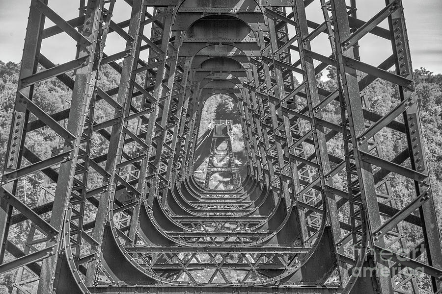 Kinzua Bridge Trestle Detail Five Photograph by Randy Steele