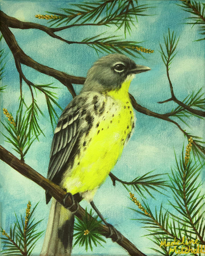 2024 Small Painting of Kirtland's Warbler