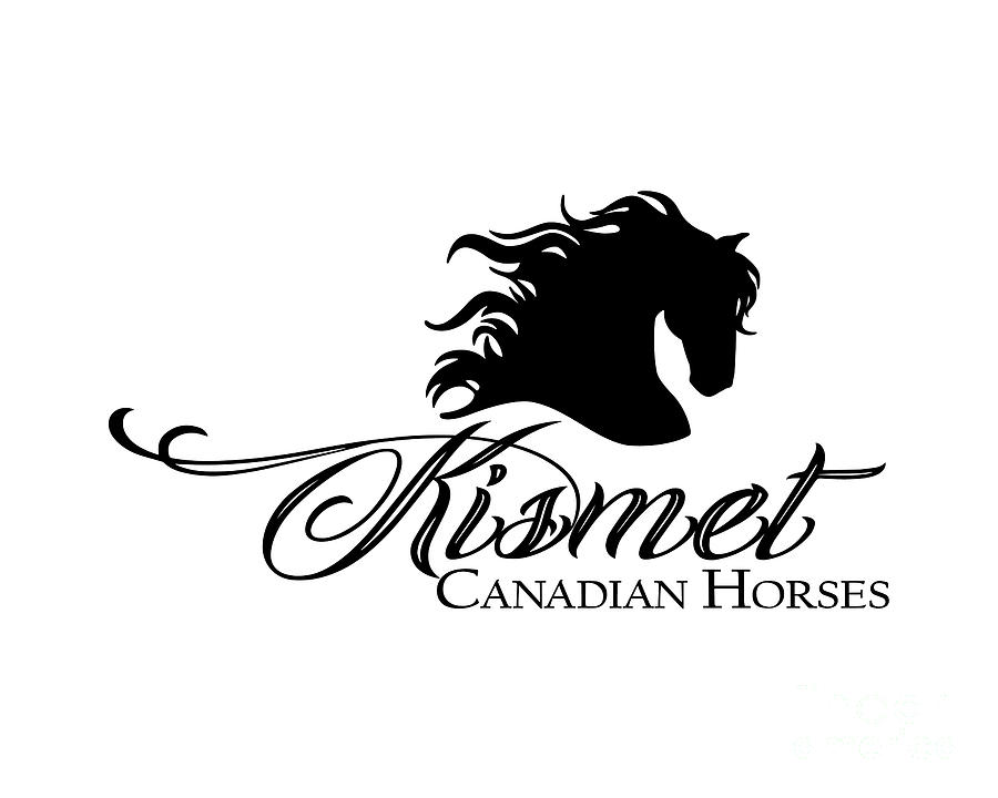 Kismet Canadian Horses Logo Digital Art by Kimberly Chason - Fine Art ...