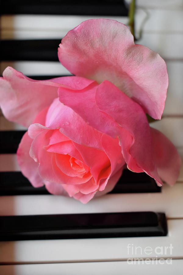 Kiss From A  Rose Maria Callas On The Piano Photograph by Leonida Arte