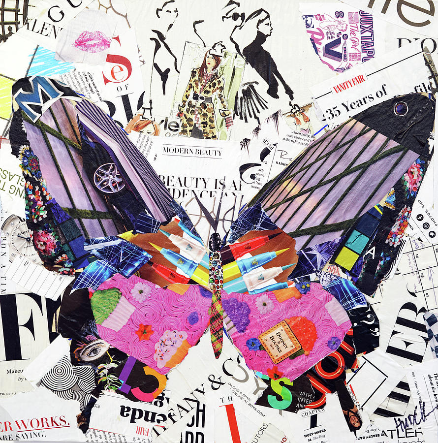 Kiss the Sky Butterfly Mixed Media by James Hudek