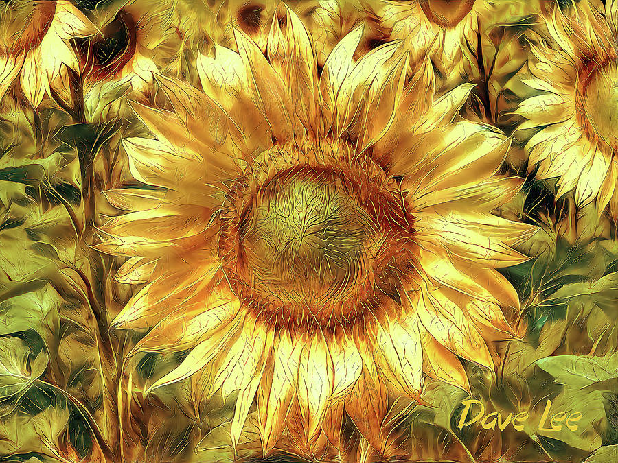 Kissed by the Sun Digital Art by Dave Lee