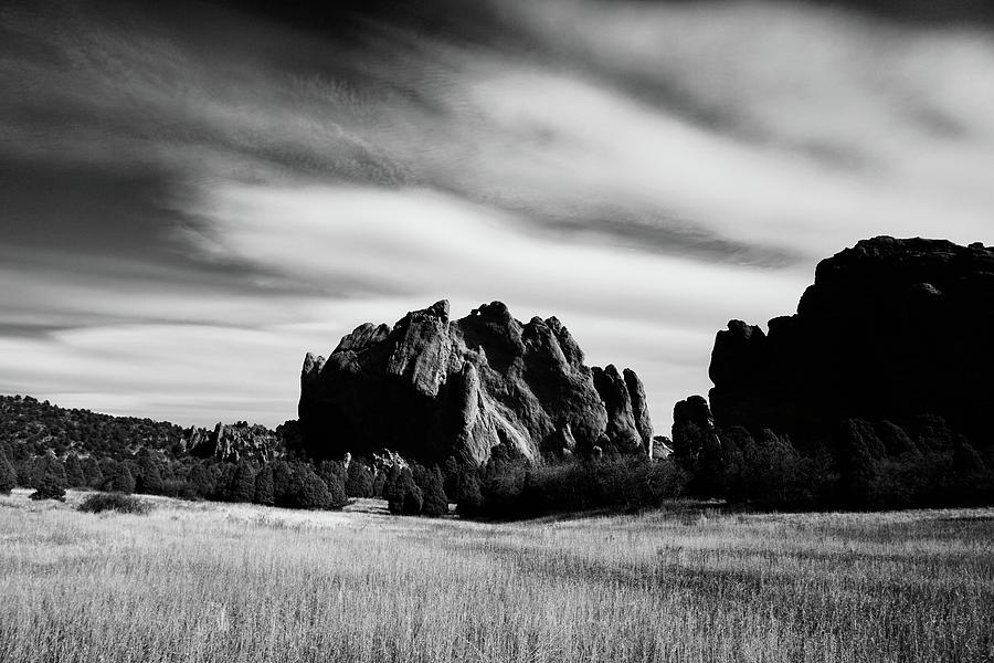 Kissing Camels Photograph by Julianna Schwindt - Fine Art America