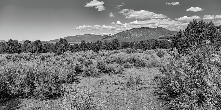 Kit Carson National Forest Photograph by Gestalt Imagery - Fine Art America