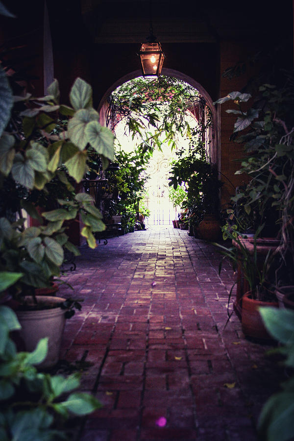 Kitchen Alley Photograph by Dawn Broussard | Fine Art America