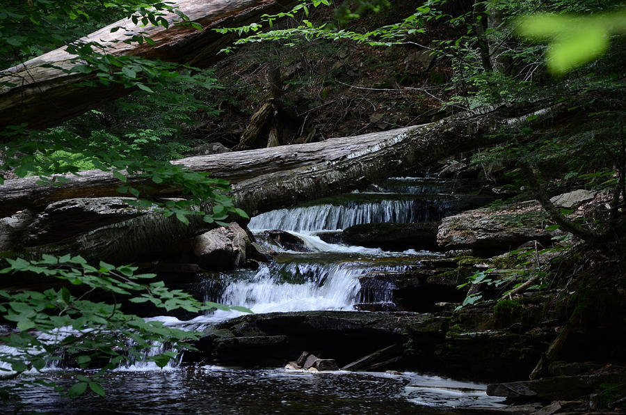 Kitchen Creek Ricketts Glen Photograph By Joe Walmsley Fine Art America   Kitchen Creek Ricketts Glen Joe Walmsley 