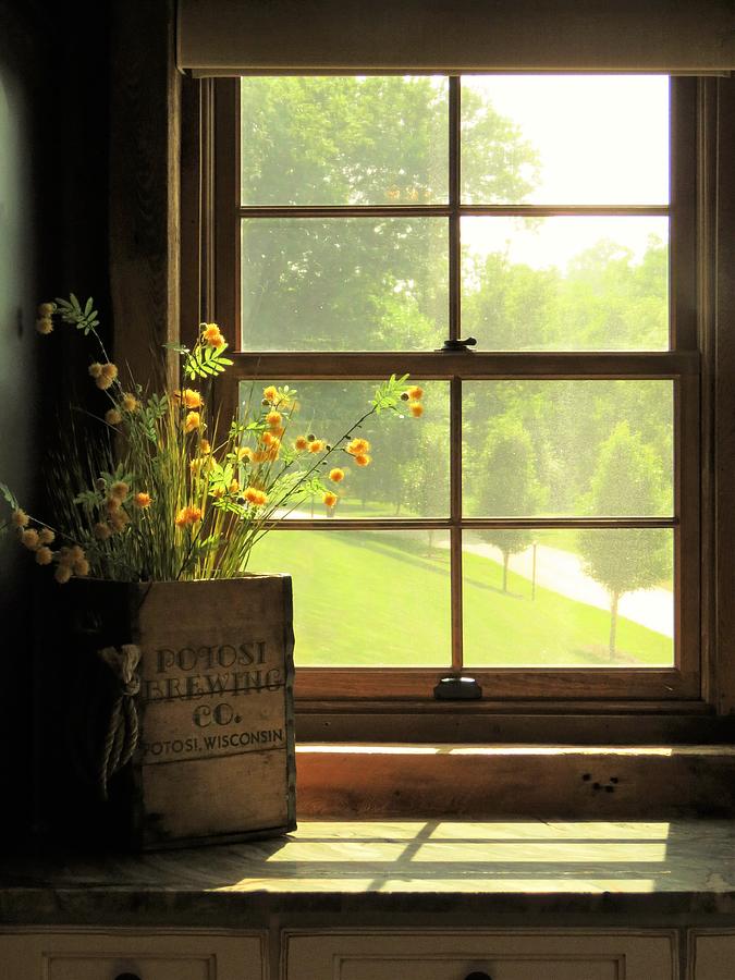 Kitchen Window View  Photograph by Lori Frisch