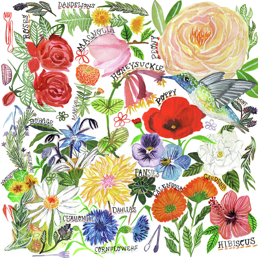 Edible Flowers Painting by Mitzie Testani Edible Flowers Painting by Mitzie Testani