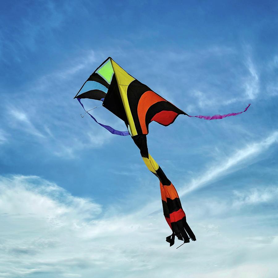 Toy Photograph - Kite by Craig Caldwell