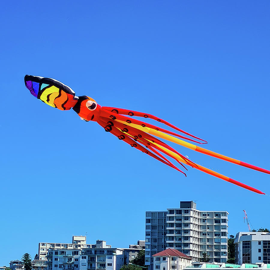 Kite Festival No 2 Photograph by Andre Petrov