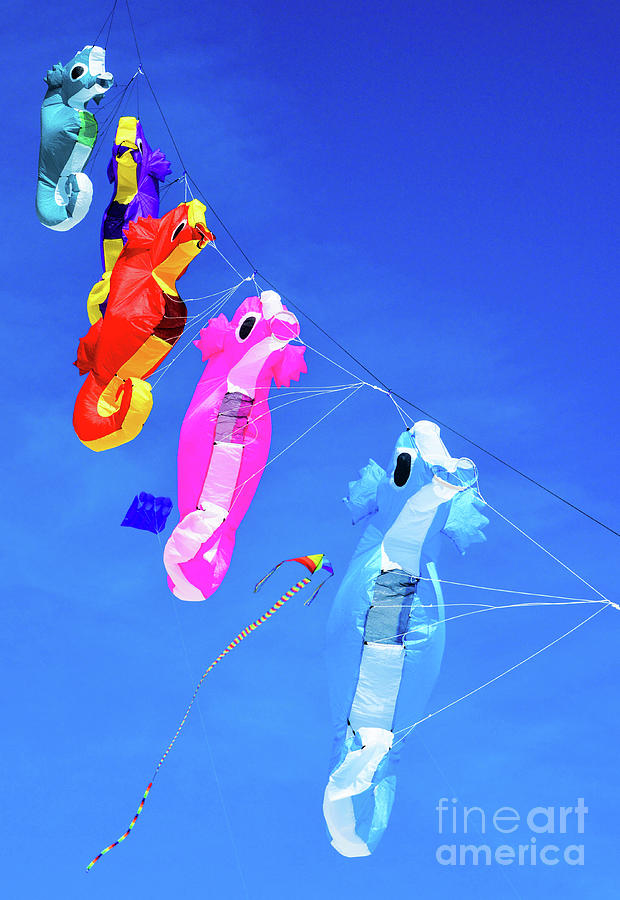 Kite festival on Treasure Island Beach, Treasure Island, Pinellas