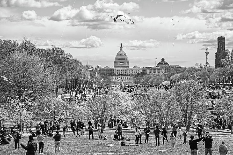 Kite Flying at the Capitol Building Washington DC Cherry Blossom Festival Black and White Photograph by Toby McGuire