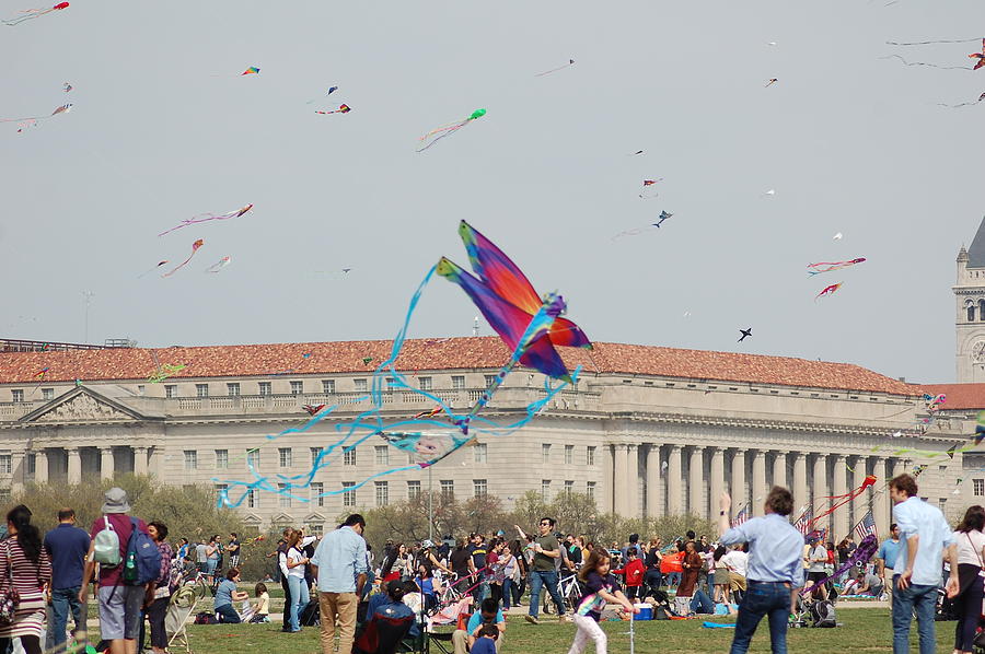Kite Flying Festival Washington DC Photograph by Fareeha Khawaja Fine