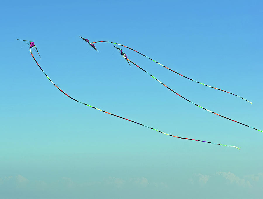 Kites at Carolina Beach 2 Photograph by Roberta Byram