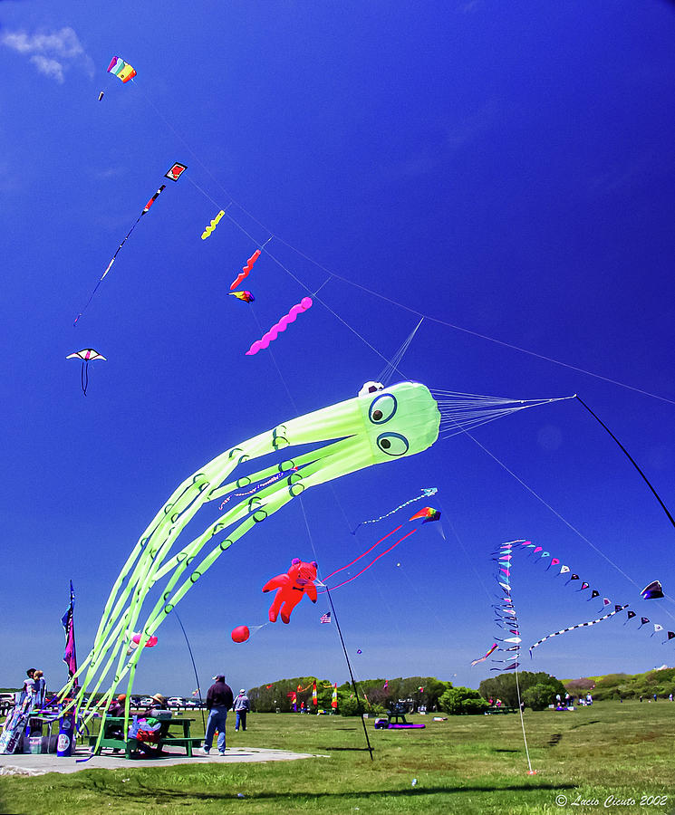 Kites at Newport R.I. Photograph by Lucio Cicuto - Fine Art America