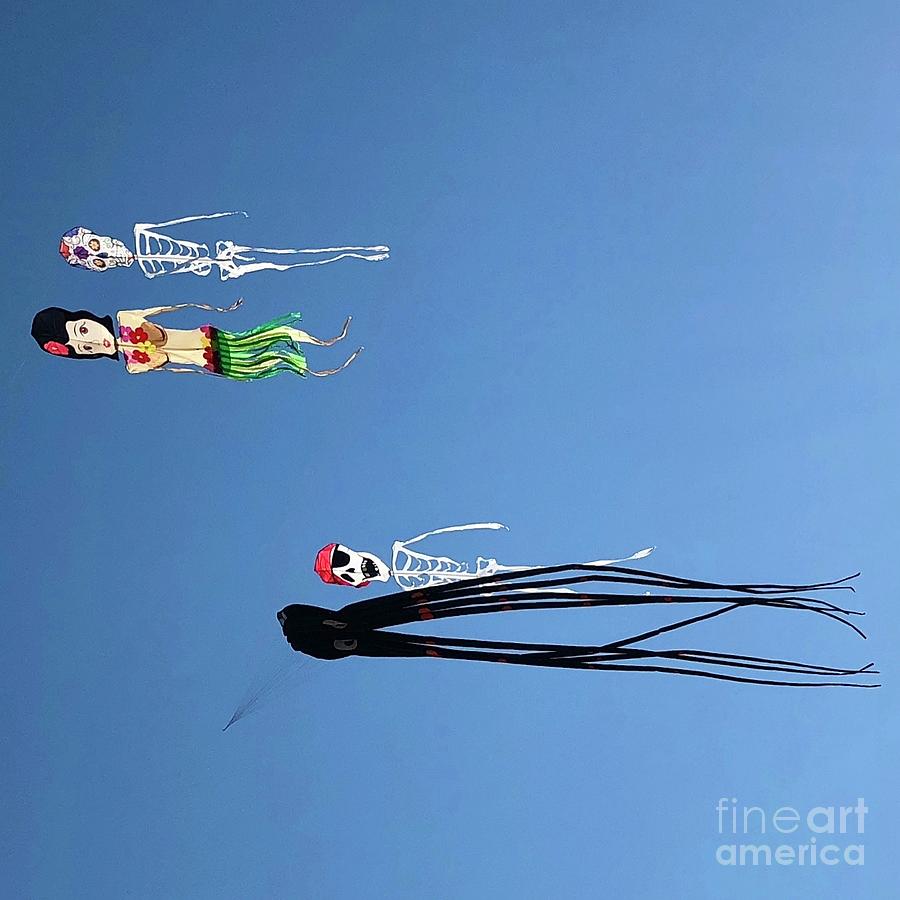 Kites in the Summer Sky Photograph by Flavia Westerwelle