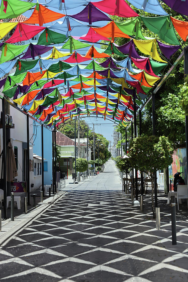 Kites of Calle Jose del Carmen Ariza Puerto Playta Mixed Media by Pheasant Run Gallery