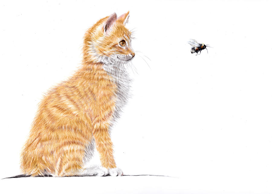 Kitten - Bee Tempted Painting by Debra Hall