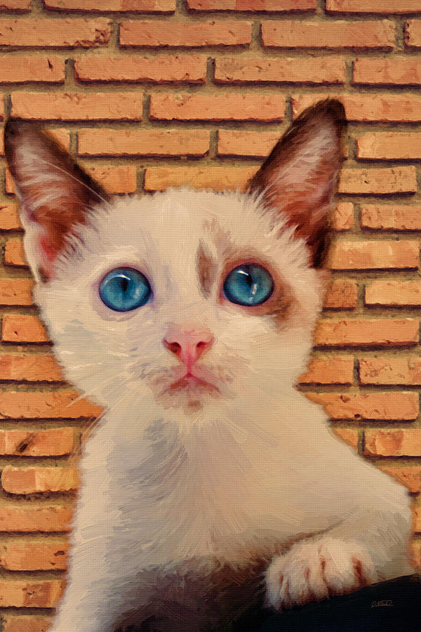 Kitten - DWP1866475 Painting by Dean Wittle
