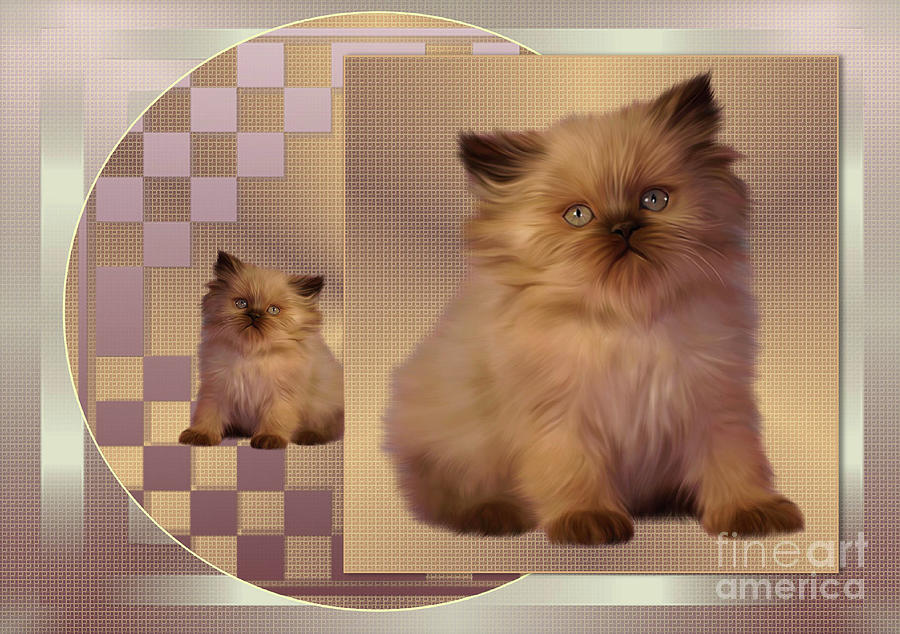  Persian Mix Kitten  Digital Art by Elaine Manley