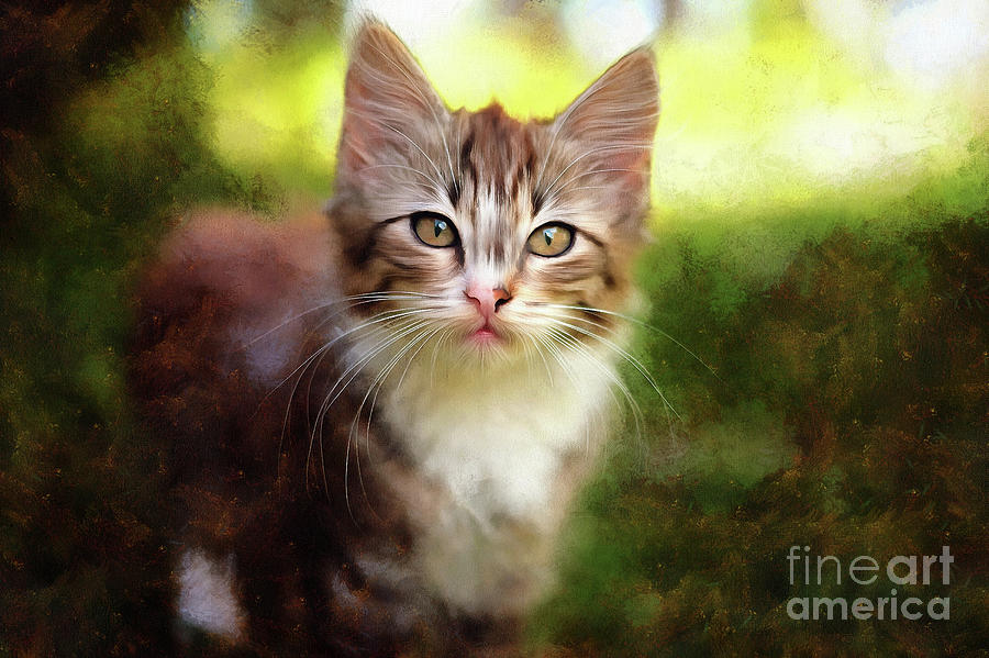 Kitten in the Grass  Painting by Elaine Manley