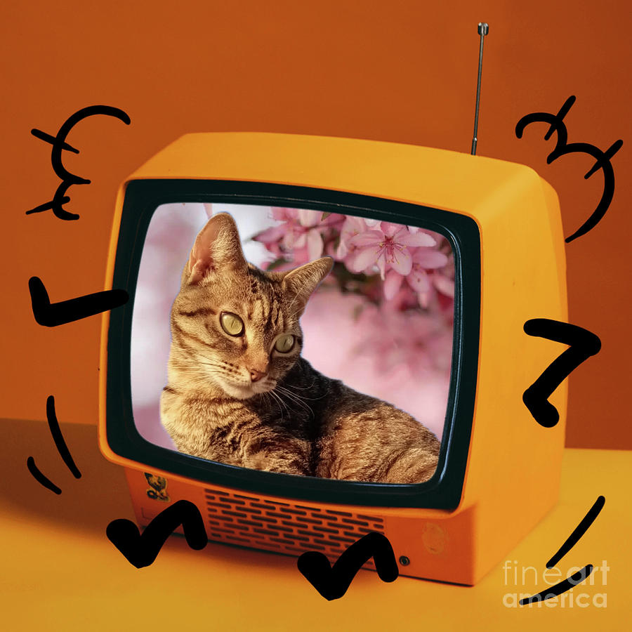 Animal Digital Art - Kitten is a movie star by Gaspar Avila