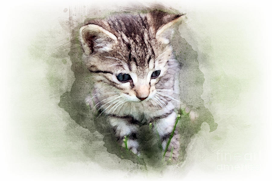 Cat Painting - Kitten sitting in green grass watercolor by Gregory DUBUS